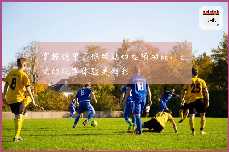 掌握德甲买球网站的各项功能，让你的观赛体验更精彩